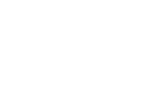 Nsp logo black