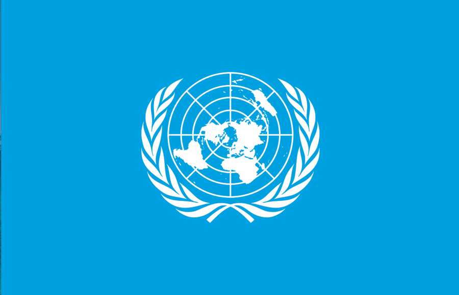 Representing ULAP Networks at the United Nations